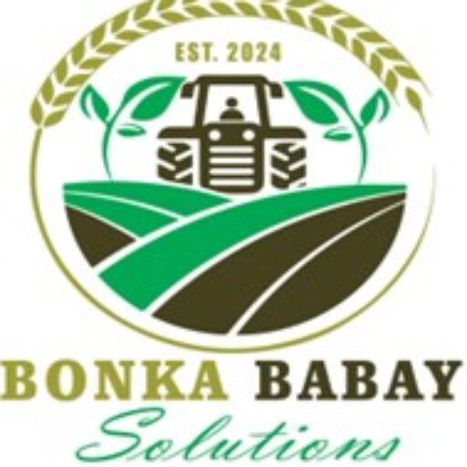 Bonka Babay Solutions Logo